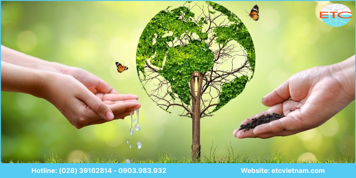 Chi phí dịch vụ xin giấy phép môi trường Bình Định
