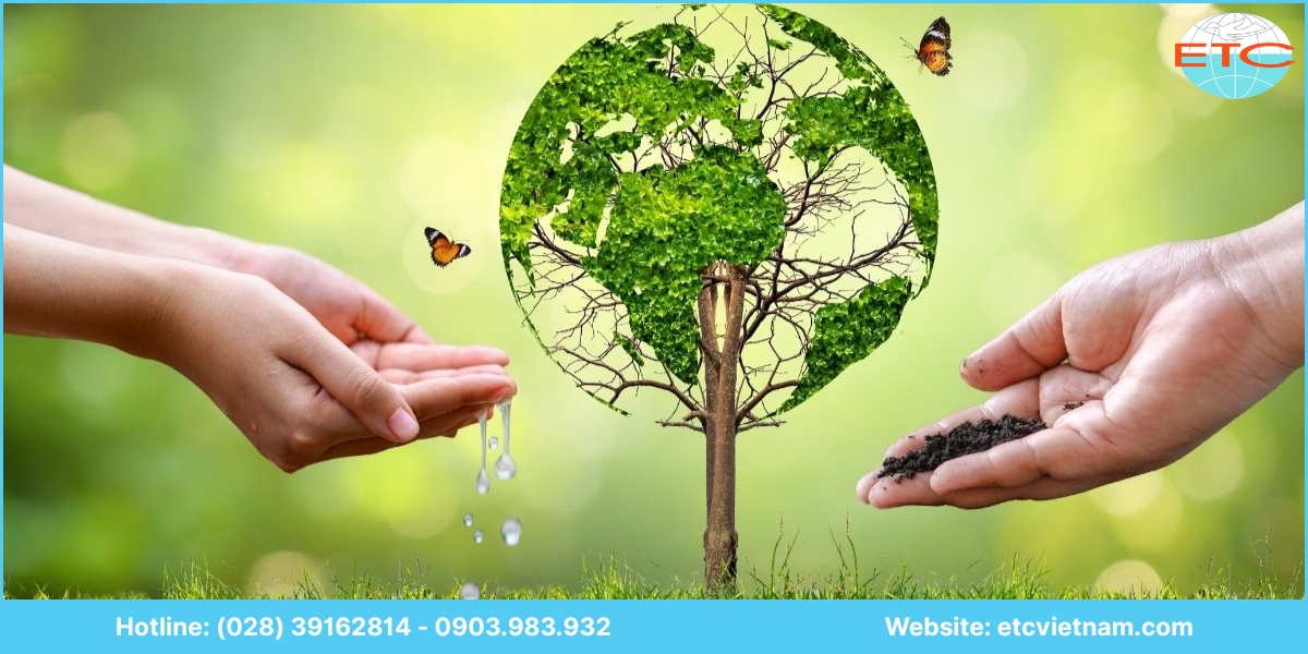Chi phí dịch vụ xin giấy phép môi trường Bình Dương
