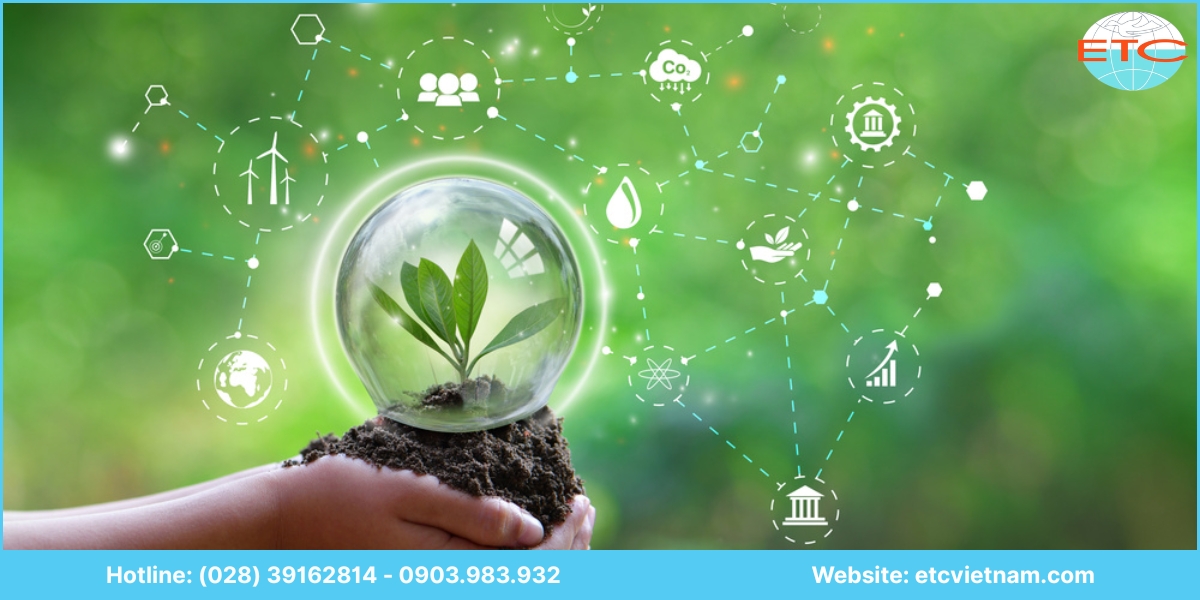 Chi phí dịch vụ xin giấy phép môi trường Cần Thơ
