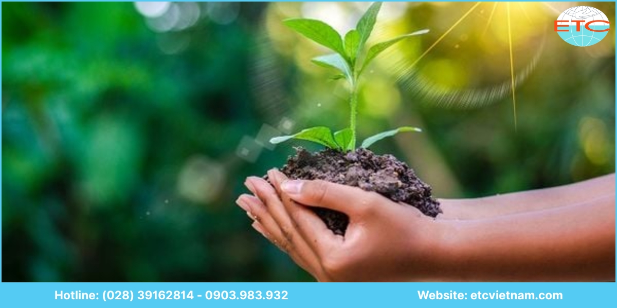 Chi phí dịch vụ xin giấy phép môi trường Gia Lai