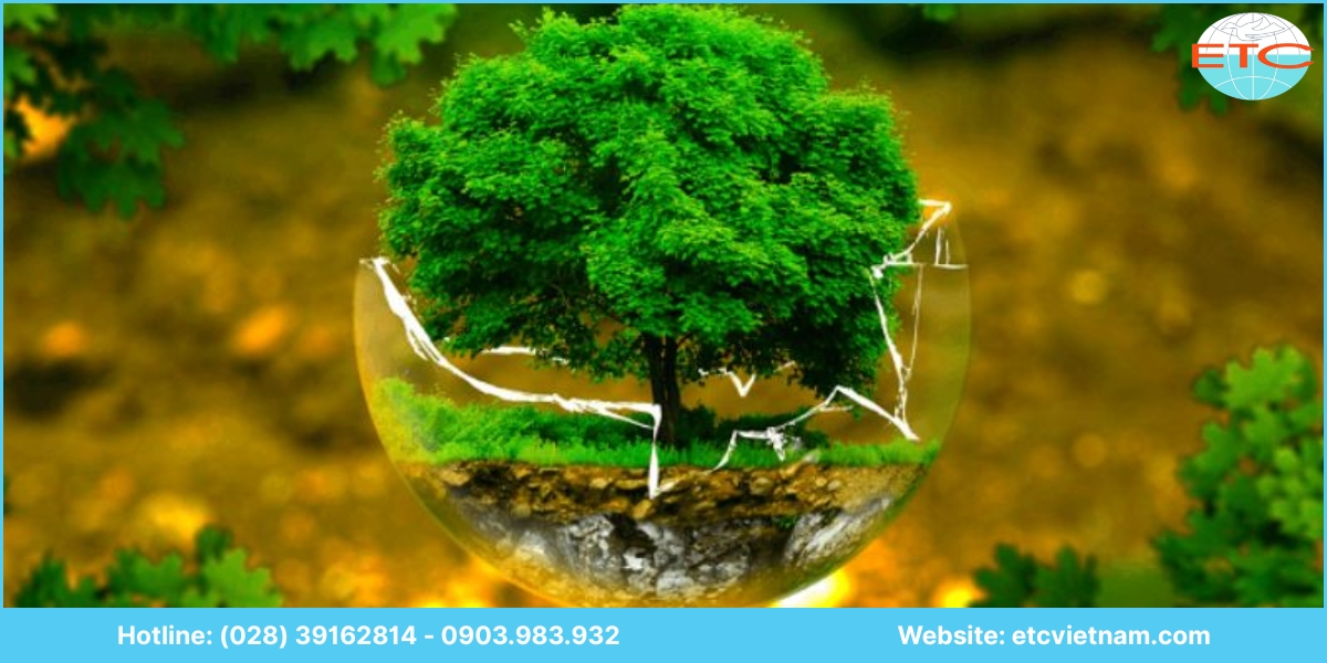 Chi phí dịch vụ xin giấy phép môi trường Hậu Giang