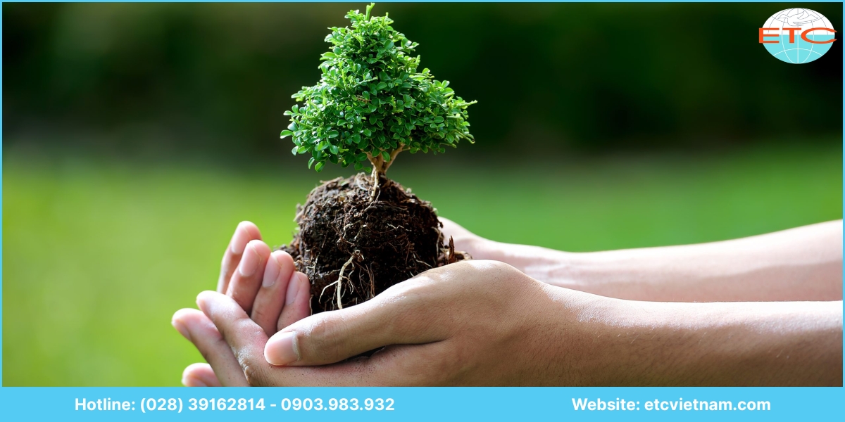 Chi phí dịch vụ xin giấy phép môi trường Khánh Hòa