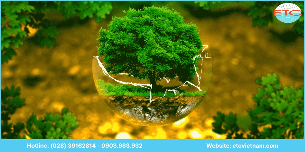 Chuyển giao công nghệ môi trường là gì?