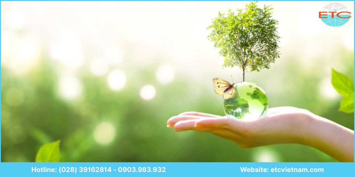 Dịch vụ hồ sơ môi trường doanh nghiệp tại ETC Việt Nam