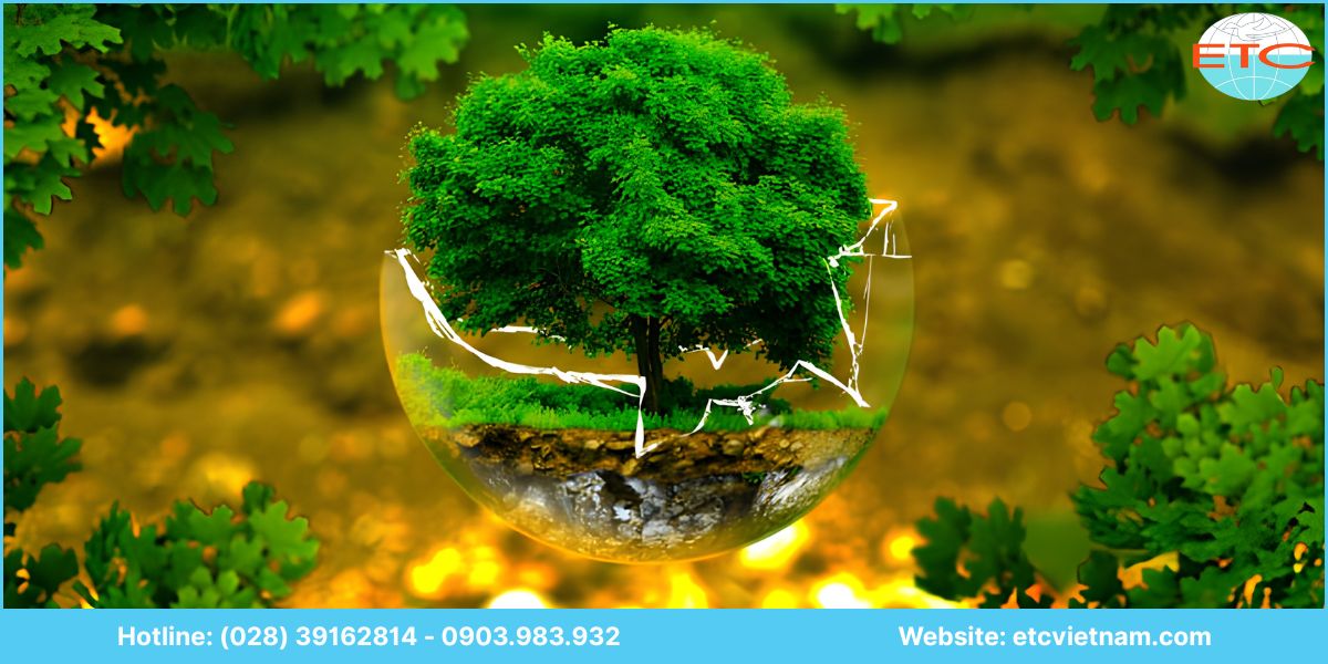 Dịch vụ lập báo cáo đánh giá tác động môi trường (ĐTM) tại ETC Việt Nam