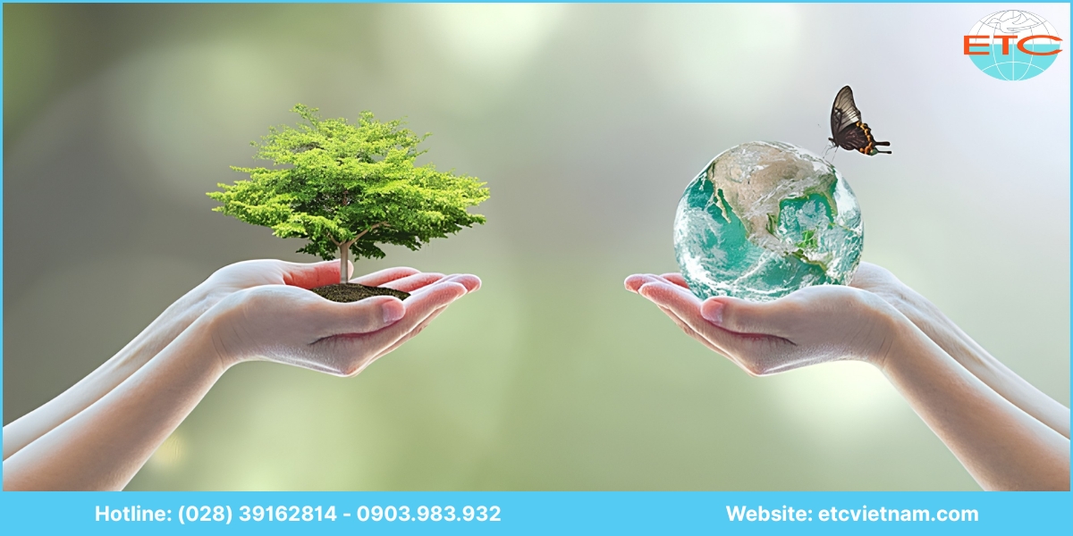 Dịch vụ lập báo cáo đánh giá tác động môi trường (ĐTM) tại Hậu Giang