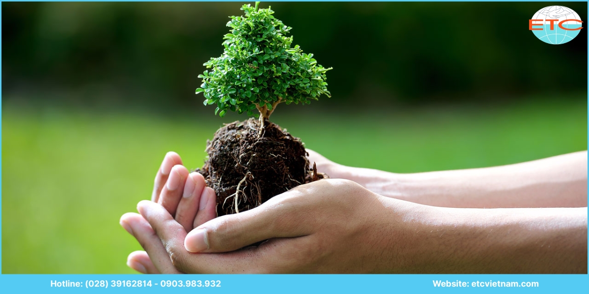 Dịch vụ tư vấn môi trường là gì?