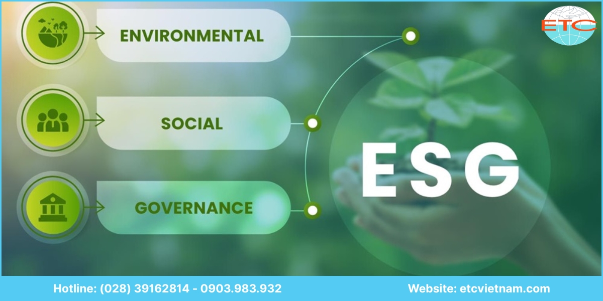 ESG là gì và vì sao doanh nghiệp cần quan tâm?