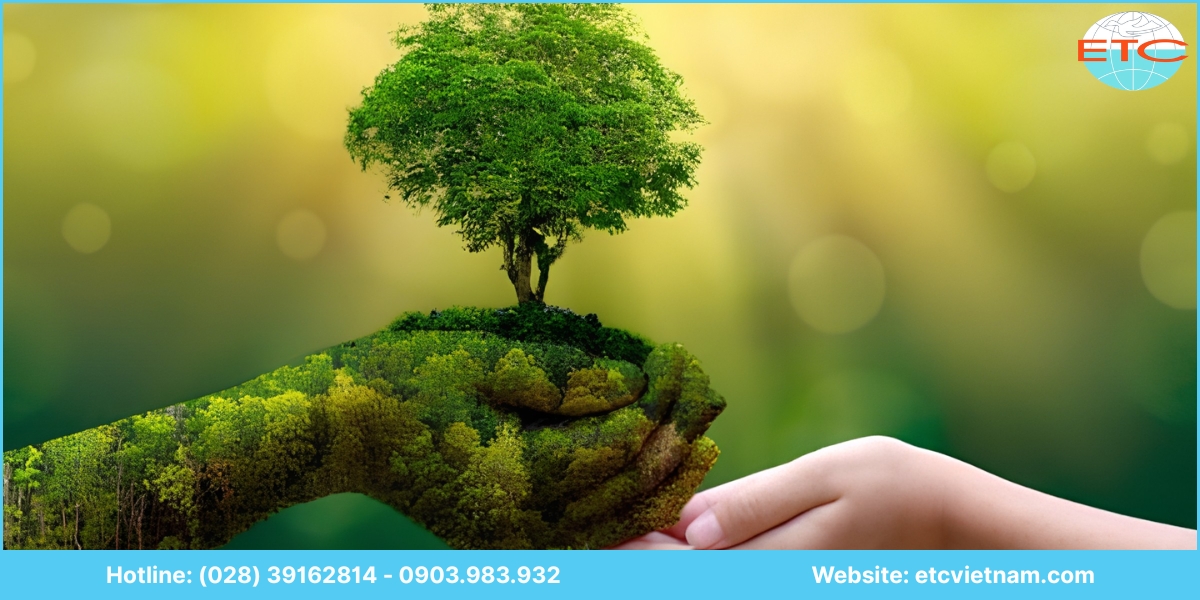 Lợi ích dịch vụ lập báo cáo đánh giá tác động môi trường (ĐTM) Tiền Giang