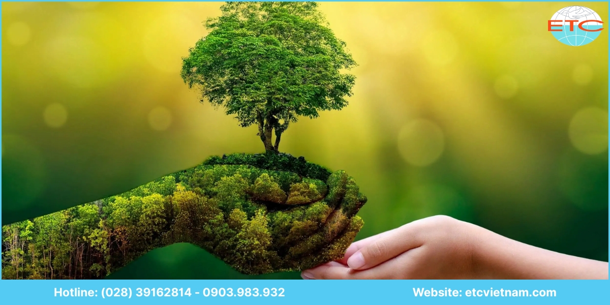 Lợi ích dịch vụ tư vấn lập giấy phép môi trường Bà Rịa - Vũng Tàu