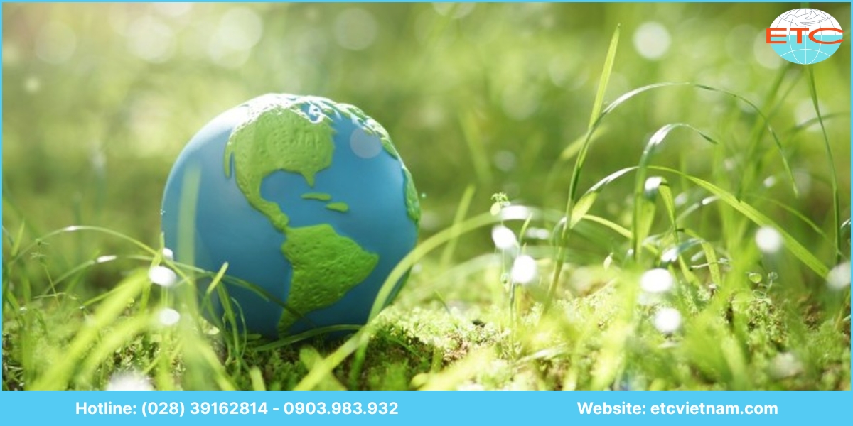 Lợi ích dịch vụ tư vấn lập giấy phép môi trường Gia Lai