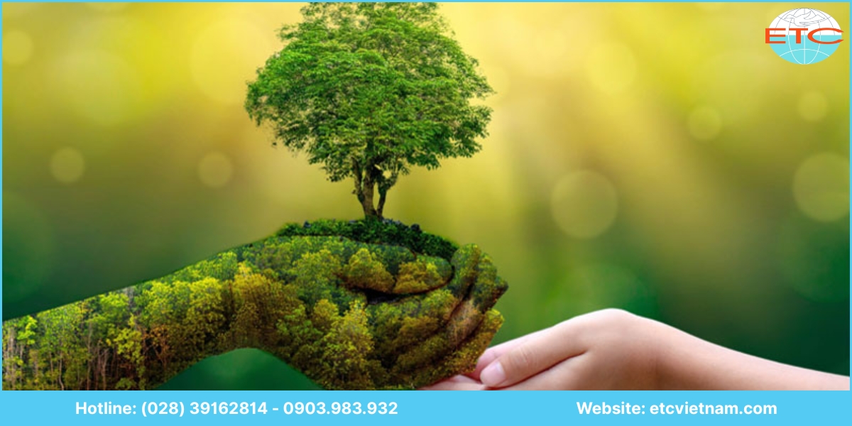 Lợi ích dịch vụ tư vấn lập giấy phép môi trường Khánh Hòa