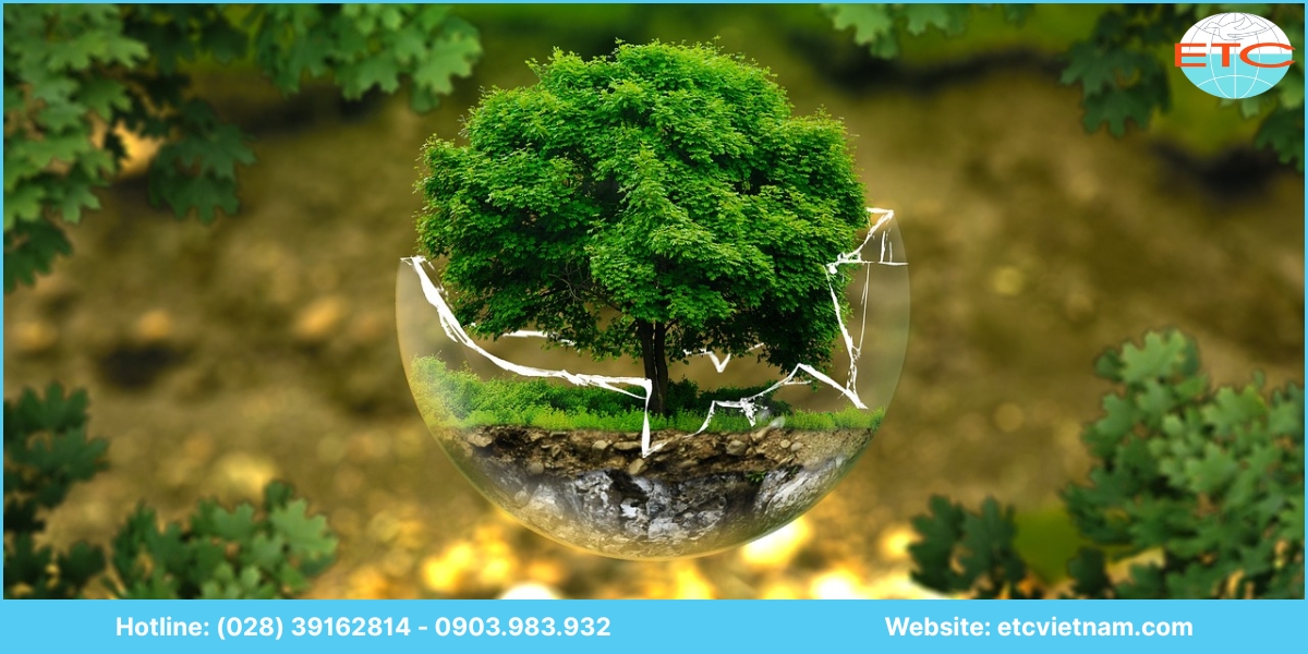 Lợi ích dịch vụ tư vấn lập giấy phép môi trường Quảng Ngãi