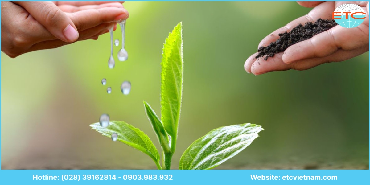 Lợi ích dịch vụ tư vấn lập giấy phép môi trường Vĩnh Long