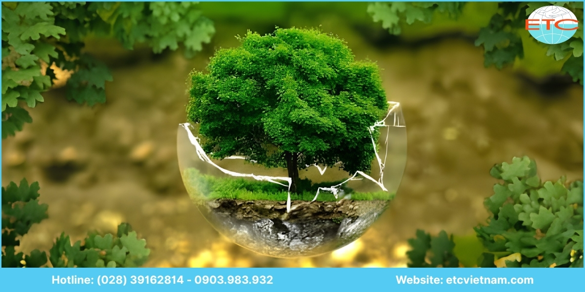 Lưu ý dịch vụ lập báo cáo công tác bảo vệ môi trường định kỳ Bình Phước