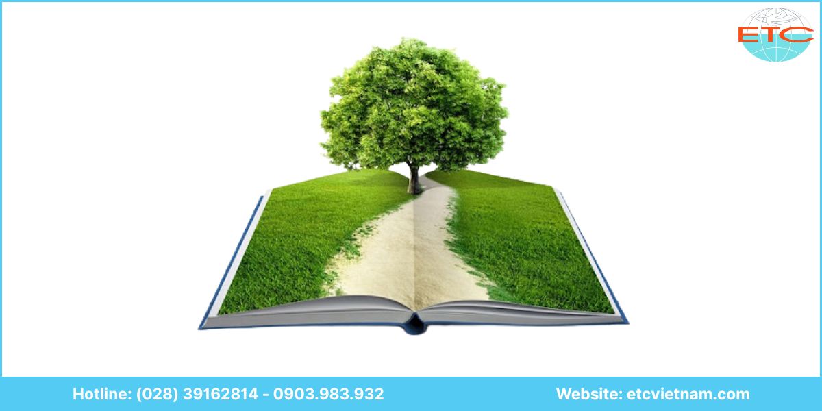Lưu ý dịch vụ lập báo cáo đánh giá tác động môi trường (ĐTM)