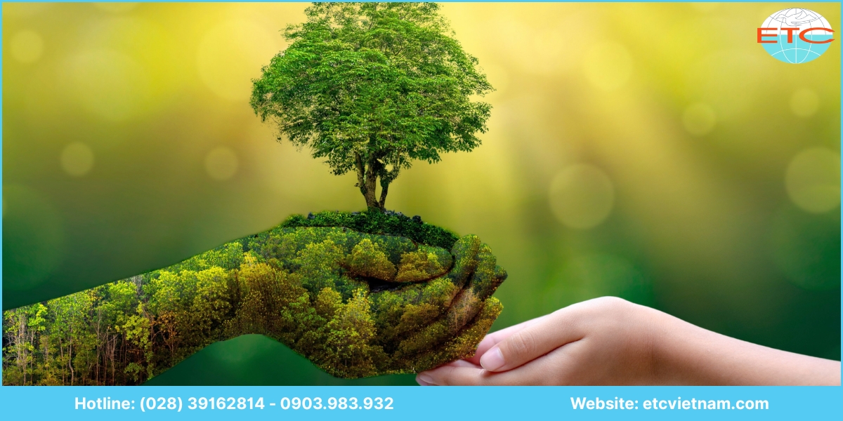 Lưu ý dịch vụ tư vấn giấy phép môi trường Bình Dương