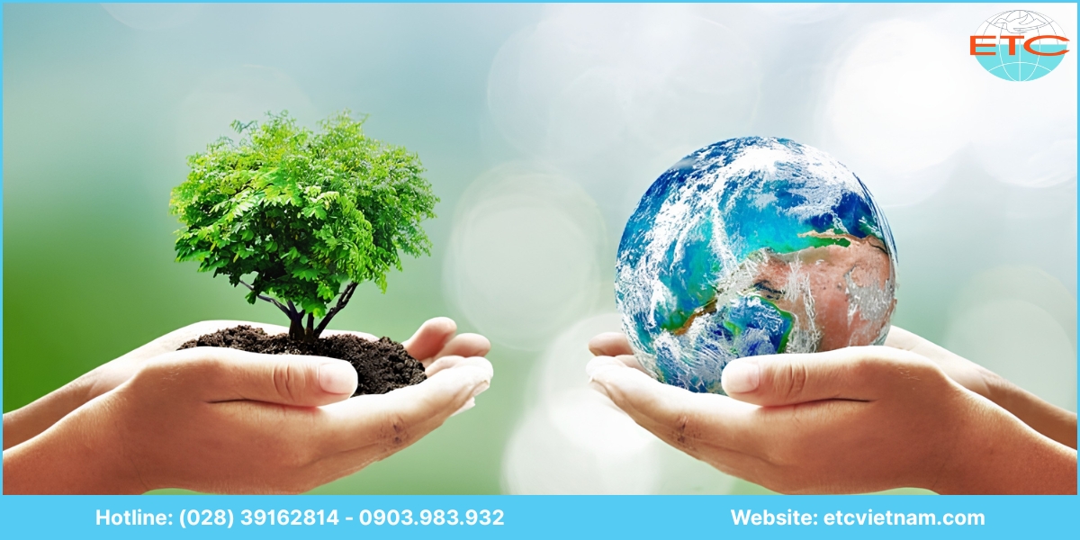 Lưu ý dịch vụ tư vấn giấy phép môi trường Đồng Tháp