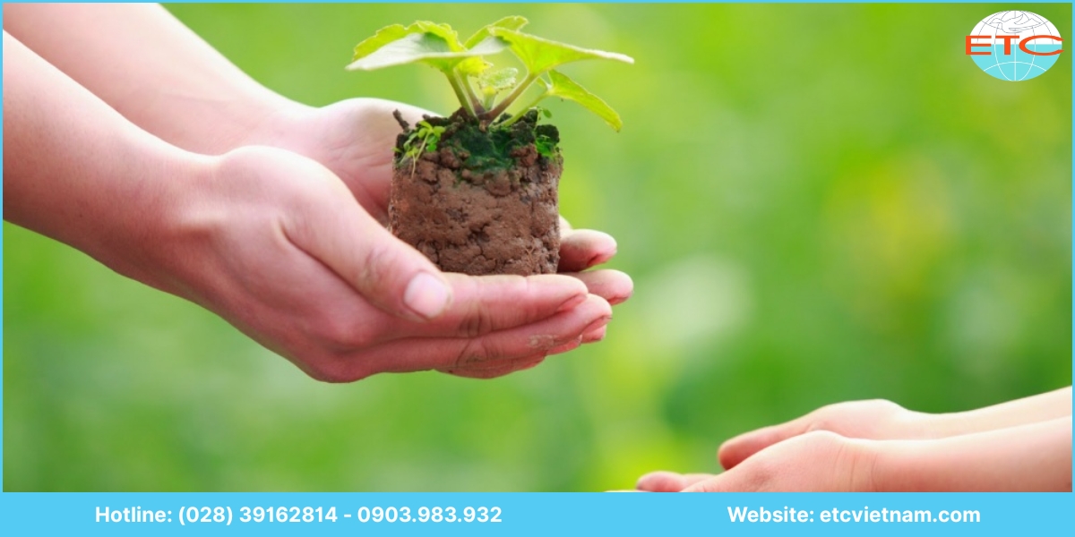 Lưu ý dịch vụ tư vấn giấy phép môi trường Gia Lai