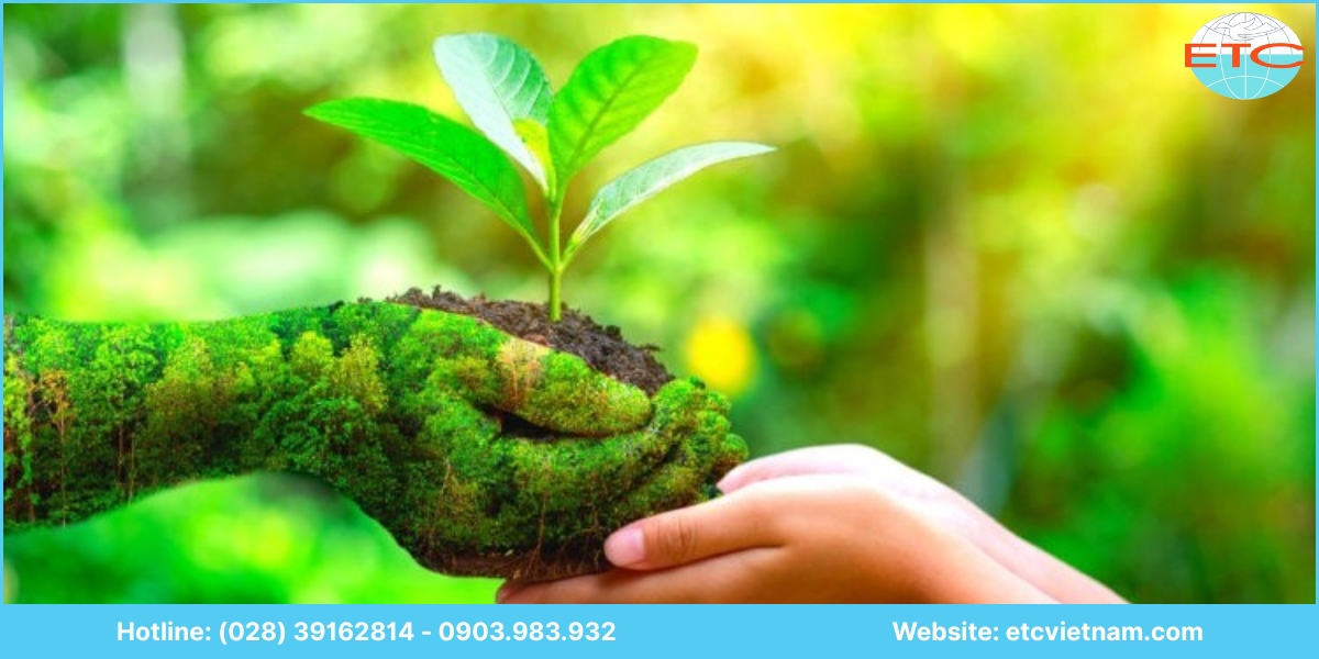 Lưu ý dịch vụ tư vấn giấy phép môi trường Kon Tum