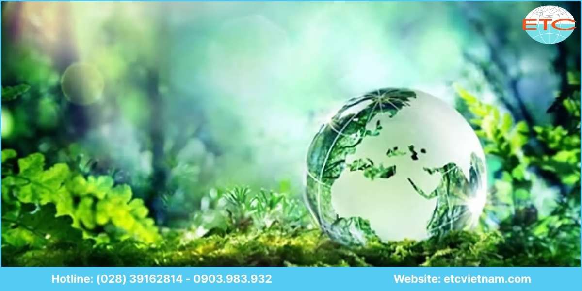Lưu ý dịch vụ tư vấn lập giấy phép môi trường Sóc Trăng