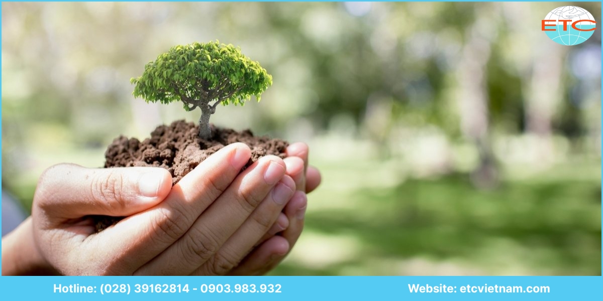 Lưu ý dịch vụ tư vấn xin giấy phép môi trường Bình Định