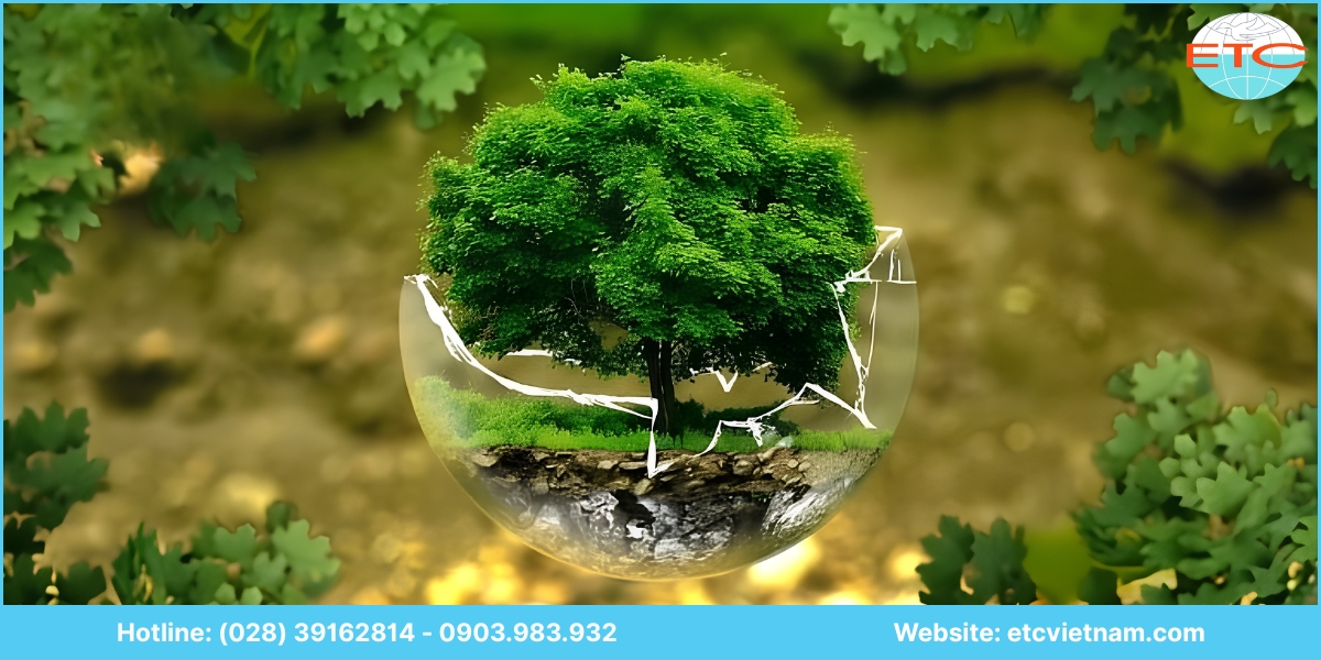 Lưu ý khi lập báo cáo đánh giá tác động môi trường (ĐTM) Bạc Liêu
