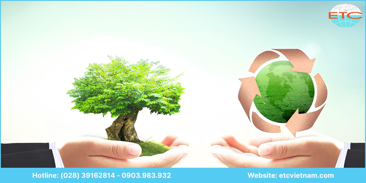 Lưu ý khi lập báo cáo đánh giá tác động môi trường (ĐTM) Gia Lai