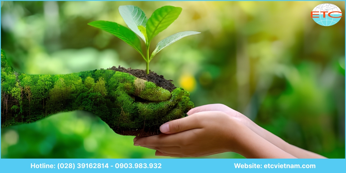 Lưu ý khi lập báo cáo đánh giá tác động môi trường (ĐTM) Ninh Thuận