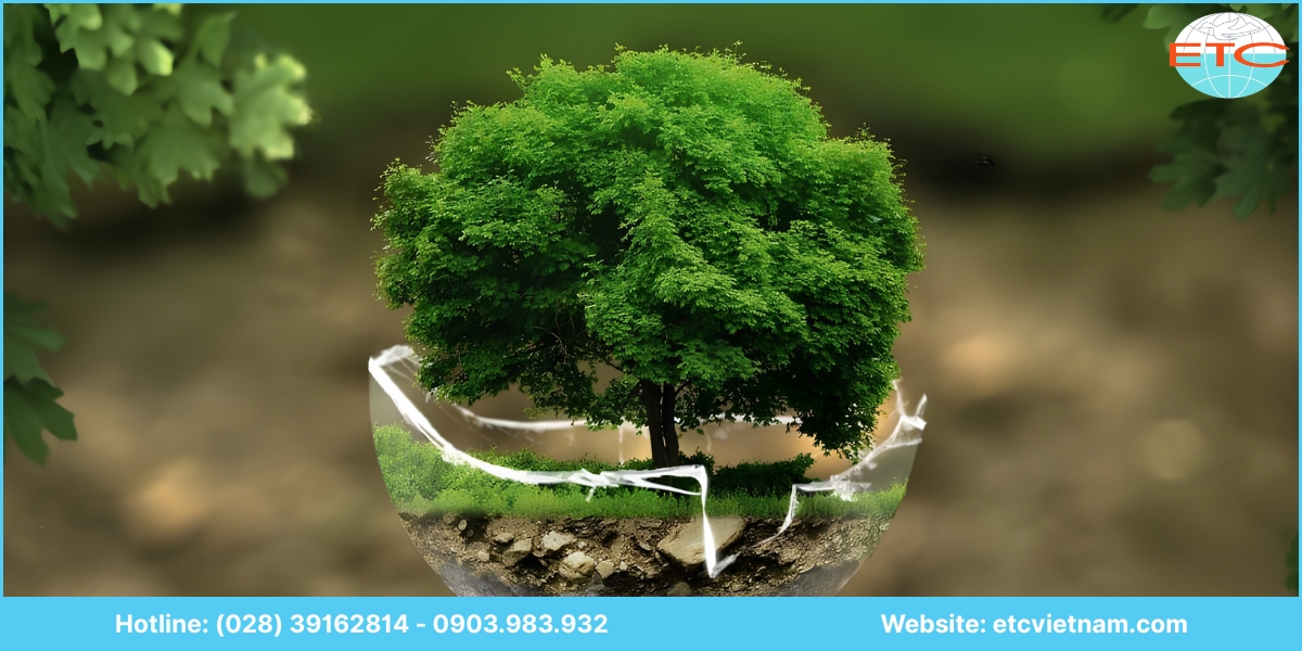 Lưu ý về dịch vụ tư vấn hồ sơ môi trường Bạc Liêu