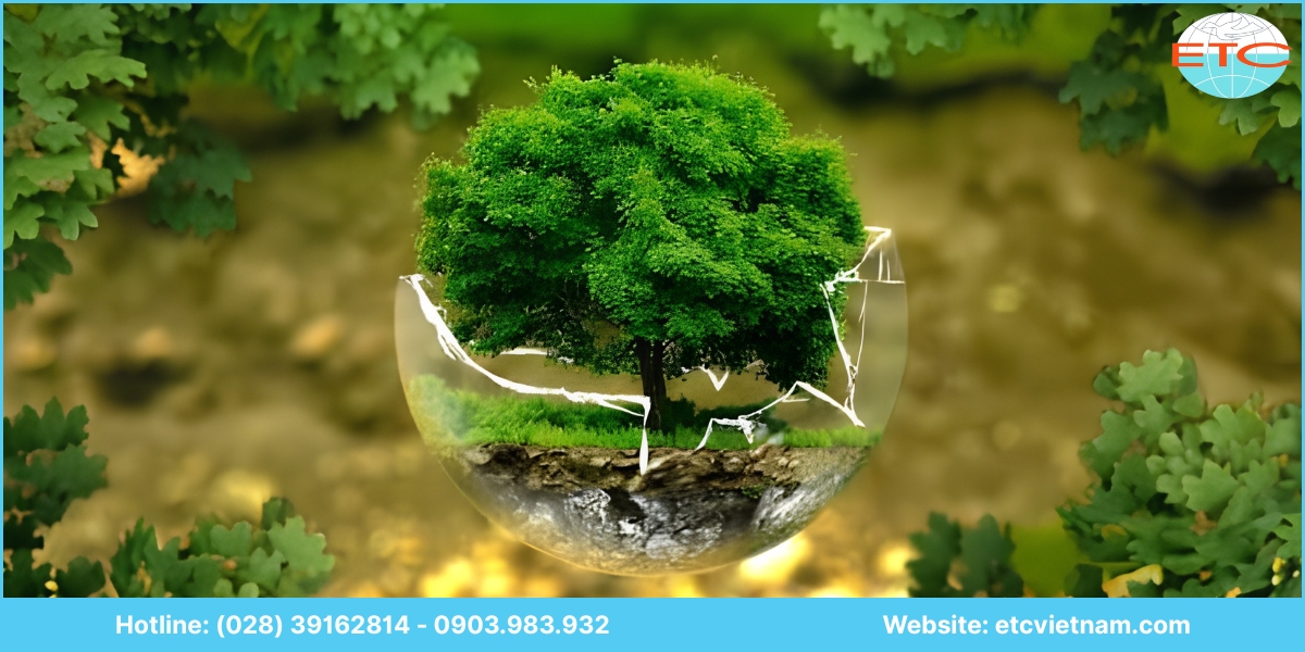 Lưu ý về dịch vụ tư vấn hồ sơ môi trường Bình Dương