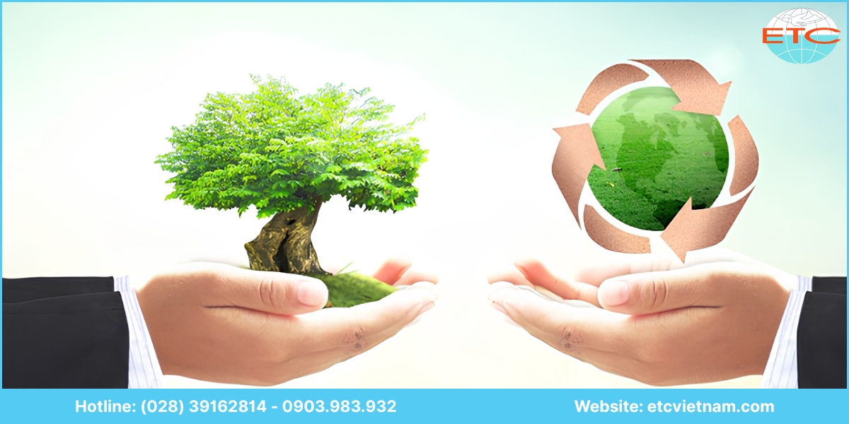 Lưu ý về dịch vụ tư vấn hồ sơ môi trường Đà Nẵng