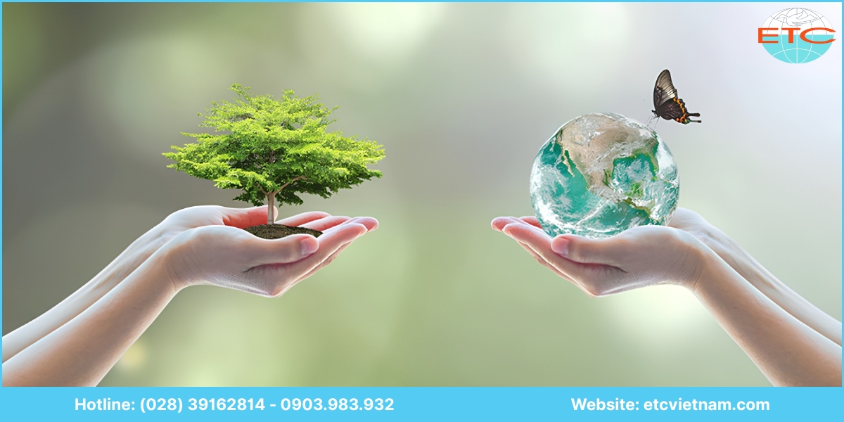 Lưu ý về dịch vụ tư vấn hồ sơ môi trường Hậu Giang