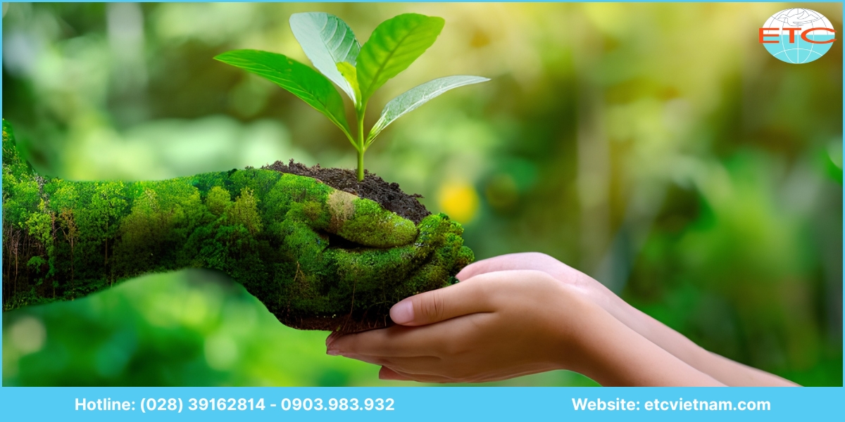 Lưu ý về dịch vụ tư vấn hồ sơ môi trường Khánh Hòa