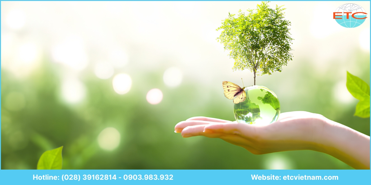 Lưu ý về dịch vụ tư vấn hồ sơ môi trường Vĩnh Long