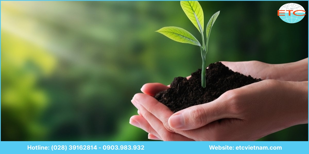 Quy định về giấy phép môi trường tại Bình Dương