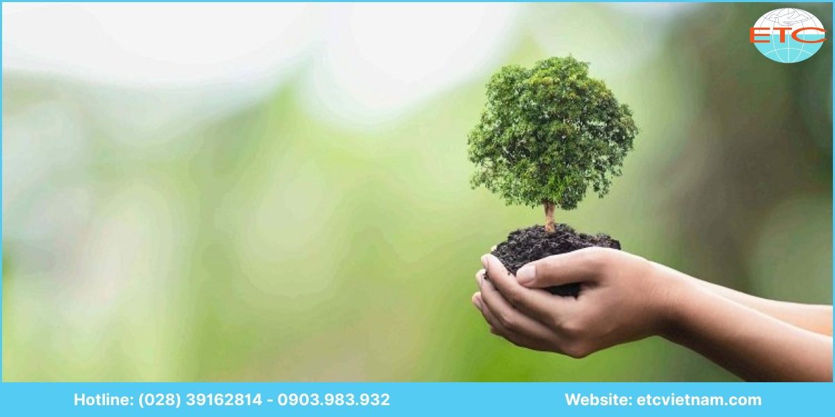 Quy định về giấy phép môi trường tại Đồng Tháp