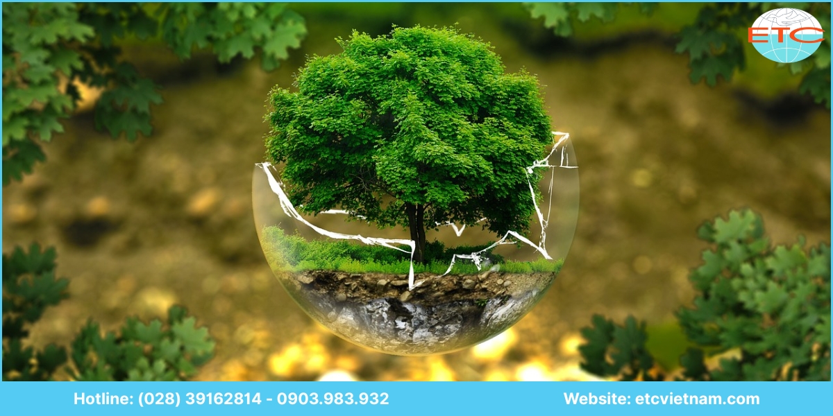 Quy định về giấy phép môi trường tại Ninh Thuận