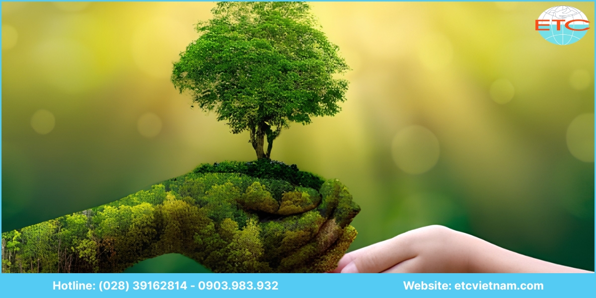 Quy định về lập báo cáo đánh giá tác động môi trường (ĐTM) tại Ninh Thuận