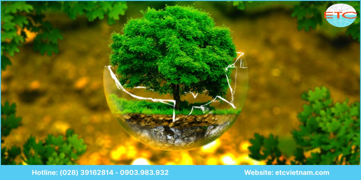Vì sao nên chọn ETC Việt Nam để lập báo cáo ĐTM Bình Dương?
