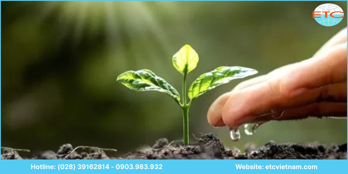 Vì sao nên chọn ETC Việt Nam để lập báo cáo ĐTM Đắk Nông?