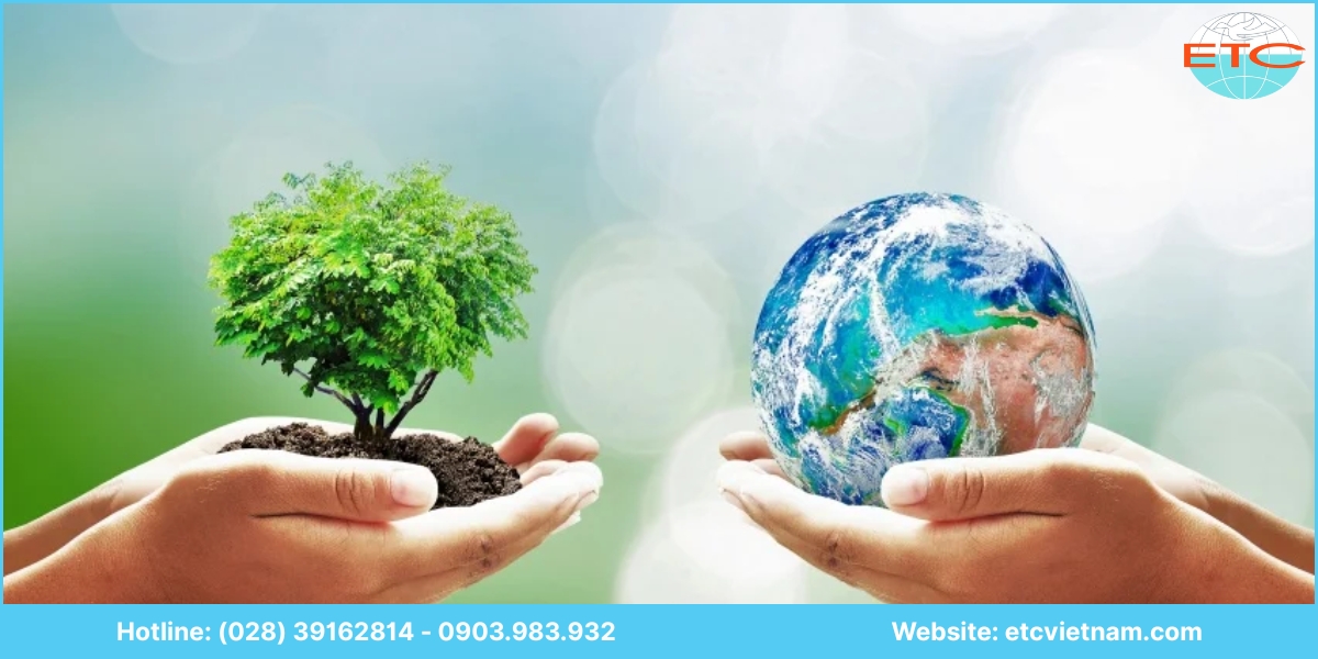 Vì sao nên chọn ETC Việt Nam để lập báo cáo ĐTM Phú Yên?