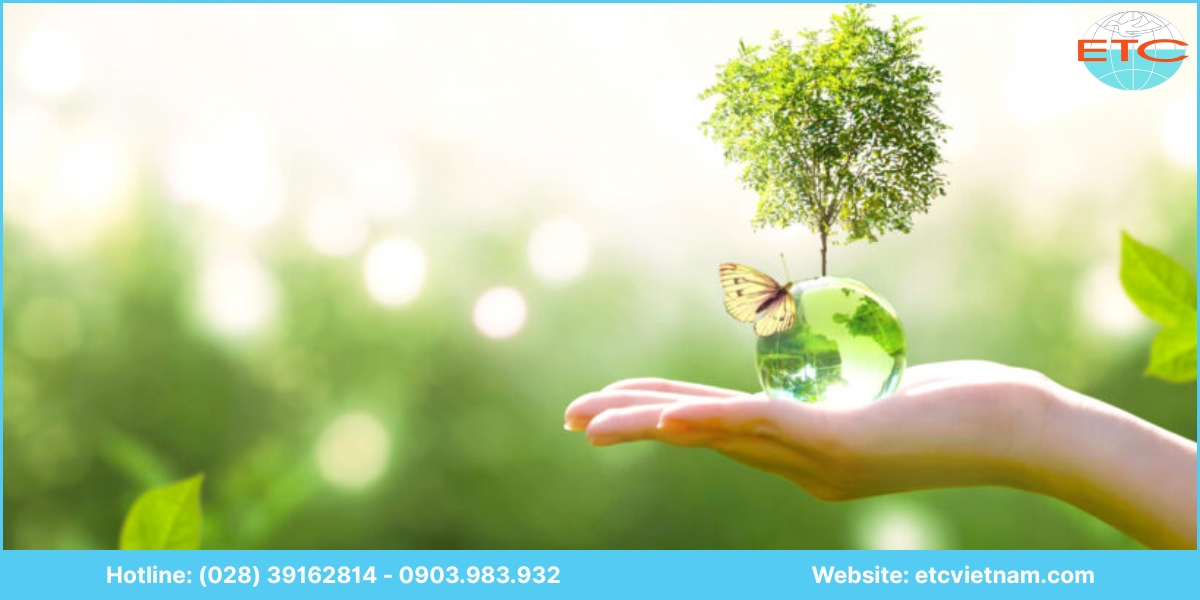 Vì sao nên chọn ETC Việt Nam để lập báo cáo ĐTM Quảng Ngãi?
