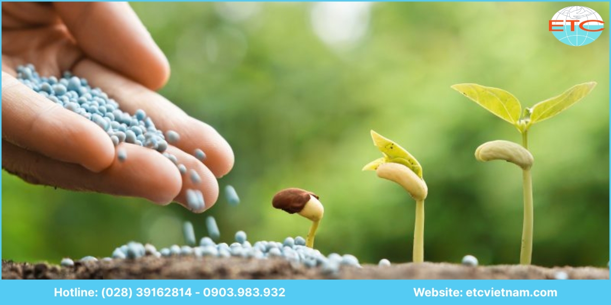 Vì sao nên chọn ETC Việt Nam để lập báo cáo ĐTM Vĩnh Long?