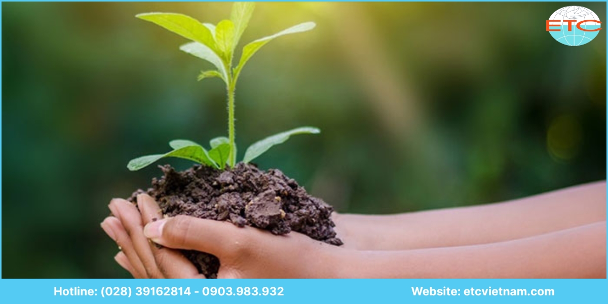 Vì sao nên chọn ETC Việt Nam tư vấn lập giấy phép môi trường tại Bình Dương?